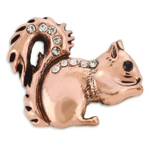 Custom Dog Collar Charm - Squirrel