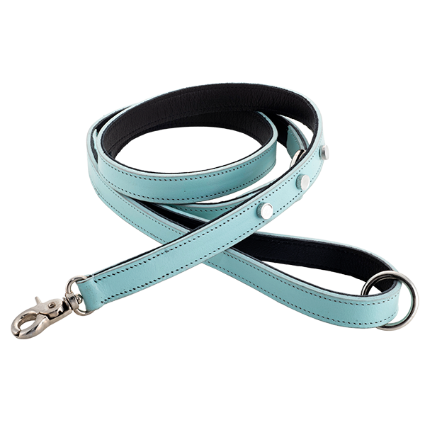 Genuine Leather Leashes