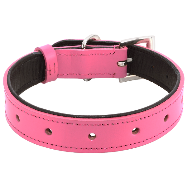 Collar - Pink