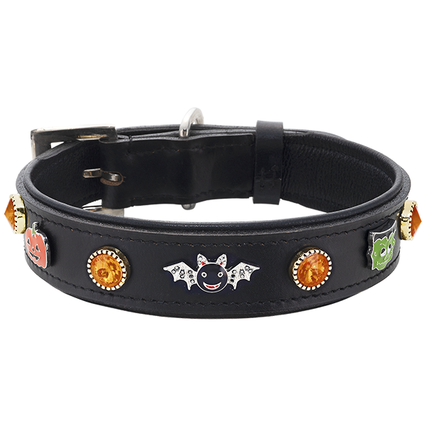 Halloween Theme Collar