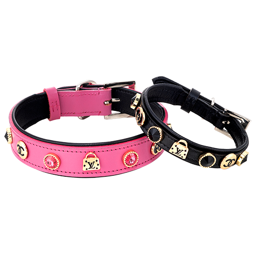 Designer Dog and Cat Collar