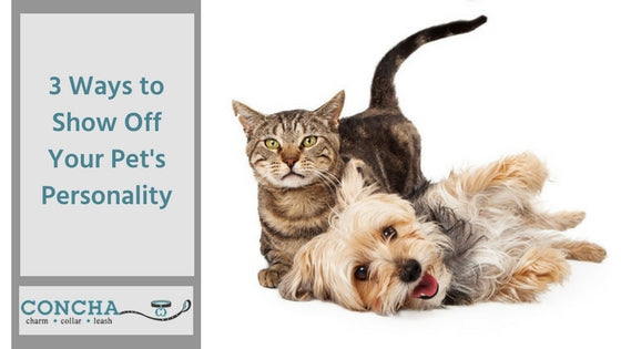 3 Ways to Show Off Your Pet's Personality
