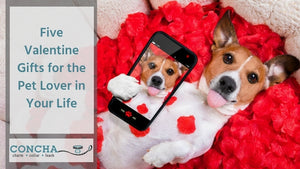 Five Valentine Gifts for the Pet Lover in Your Life