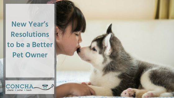 New Year’s Resolutions to be a Better Pet Owner