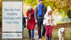 Tips for Fun, Healthy Outings with Your Dog
