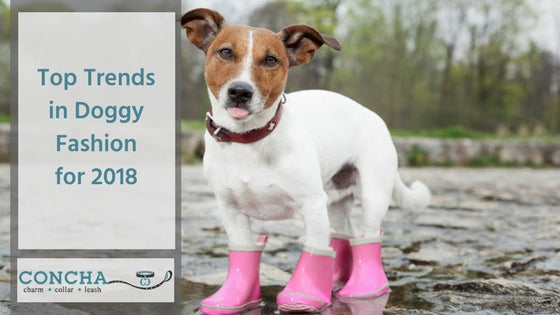 Top Trends in Doggy Fashion for 2018