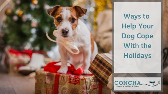 Ways to Help Your Dog Cope With the Holidays