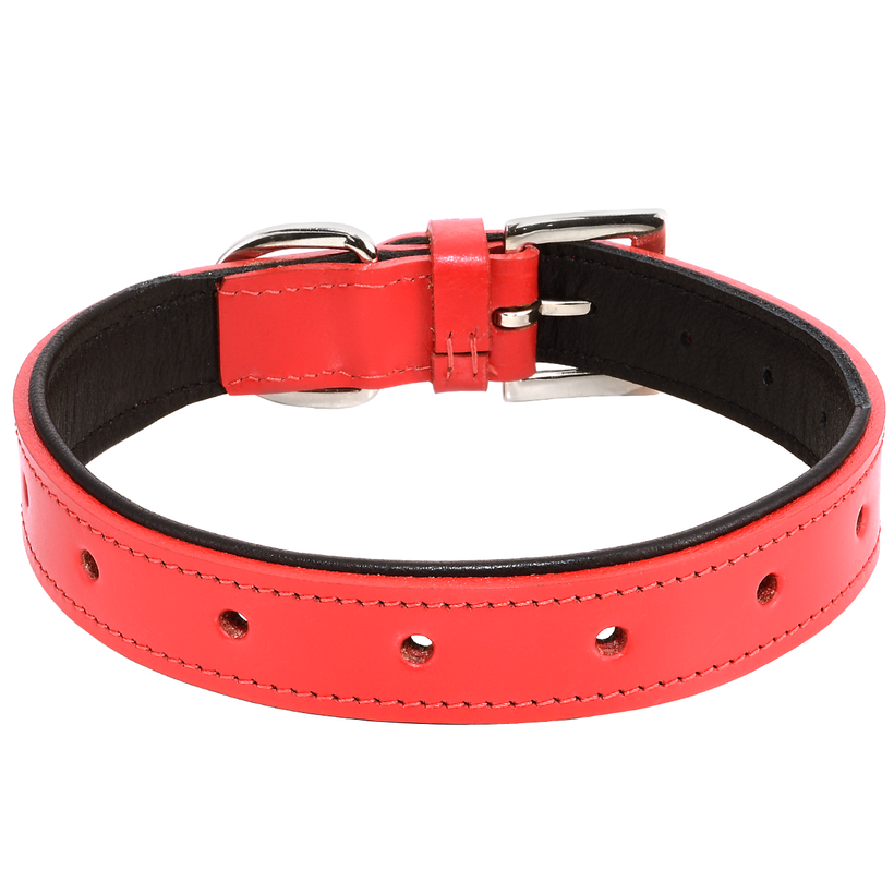 Concha Pink Leather Collar - Tails in the City